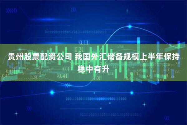 贵州股票配资公司 我国外汇储备规模上半年保持稳中有升